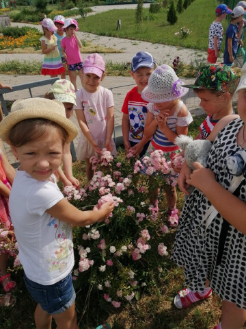 День летнего цветочка - МБДОУ детский сад «Морячок»